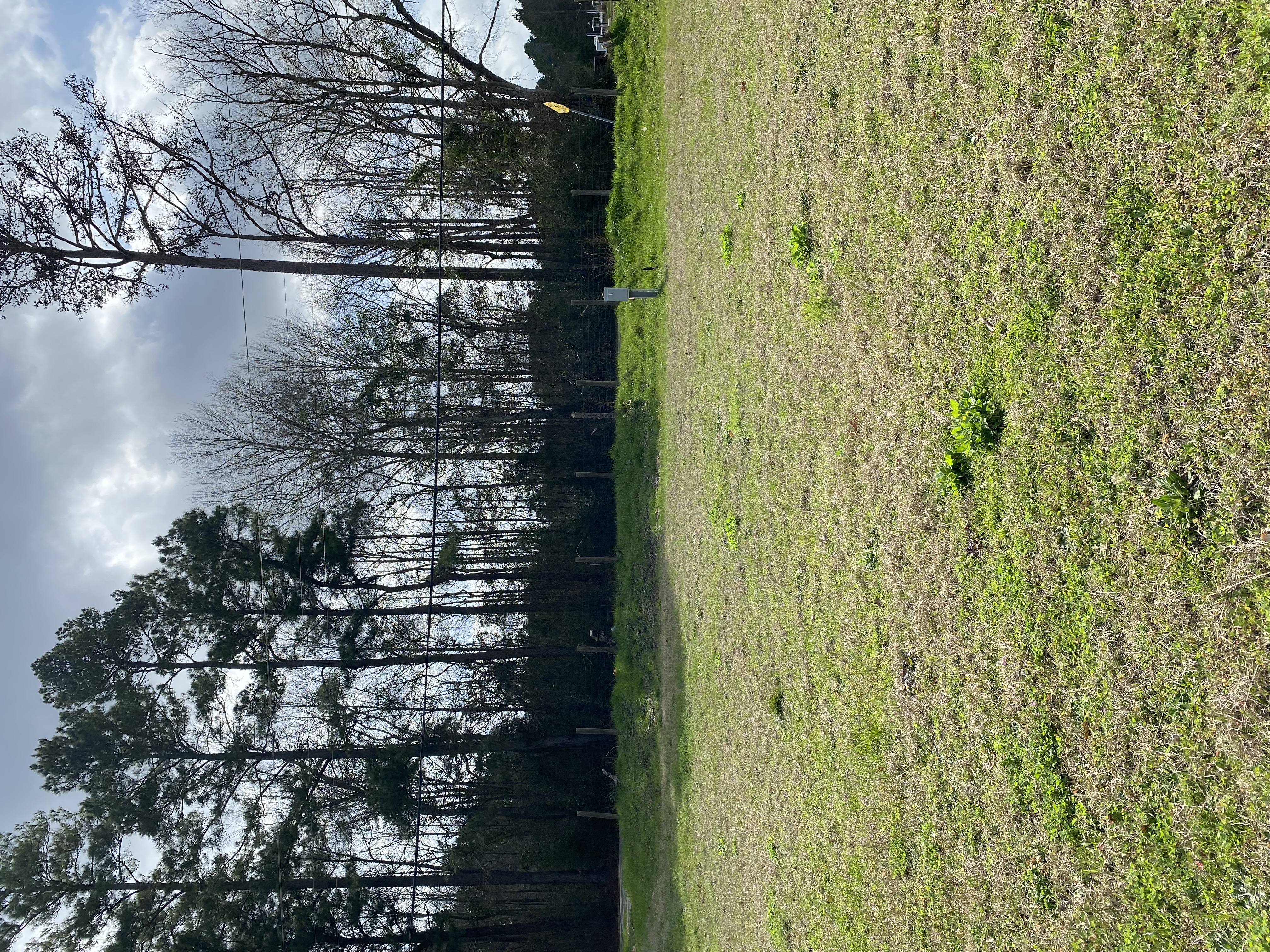 Camp photo 2